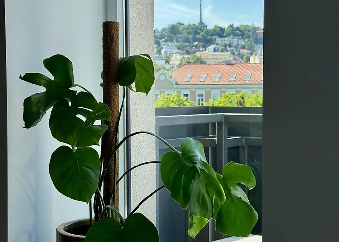 Cozy With Castle View